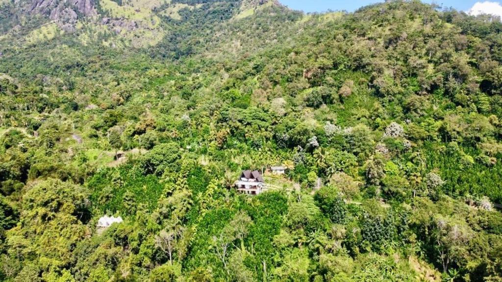 Eagle View Villa Procida Dış mekan fotoğraf